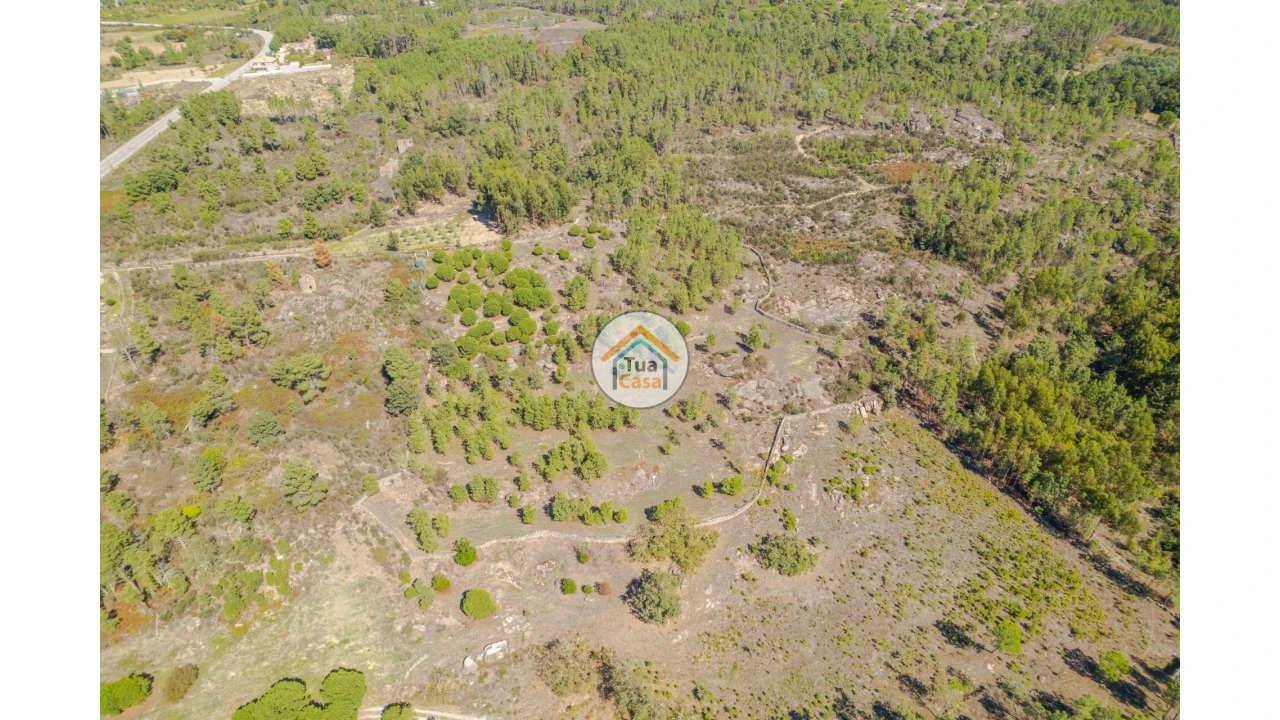 Terreno para Venda em Tavares (Chãs, Várzea e Travanca) Foto 5