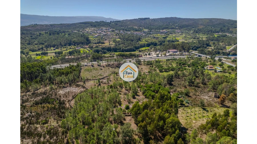 Terreno para Venda em Tavares (Chãs, Várzea e Travanca) Foto 8