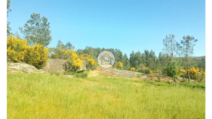 Terreno para Venda em Tavares (Chãs, Várzea e Travanca) Foto 21