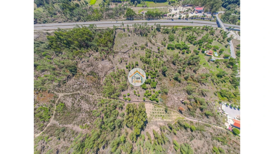 Terreno para Venda em Tavares (Chãs, Várzea e Travanca) Foto 3