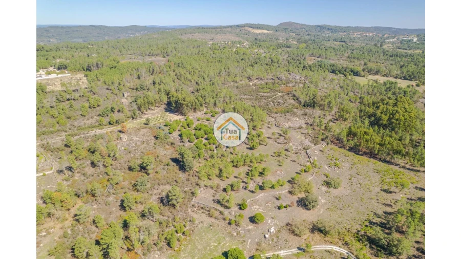 Terreno para Venda em Tavares (Chãs, Várzea e Travanca) Foto 4