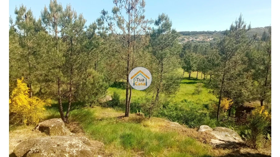 Terreno para Venda em Tavares (Chãs, Várzea e Travanca) Foto 30