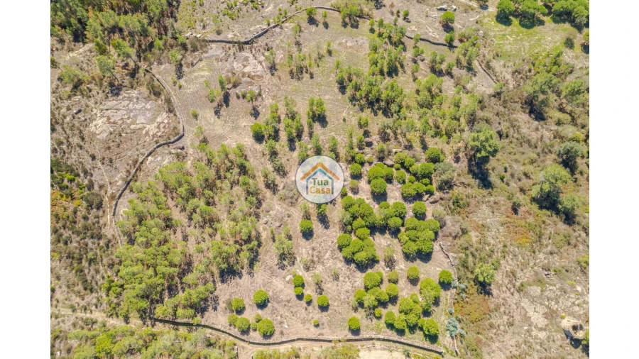 Terreno para Venda em Tavares (Chãs, Várzea e Travanca) Foto 2