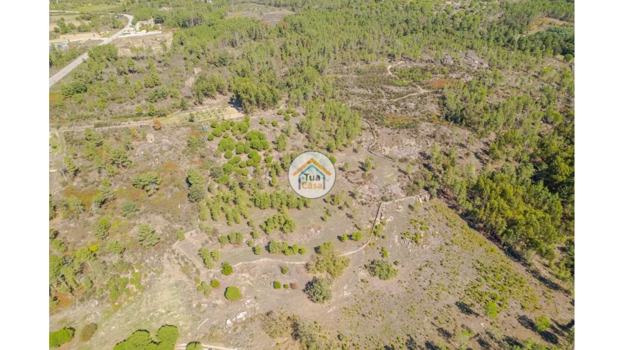 Terreno para Venda em Tavares (Chãs, Várzea e Travanca) Foto 5