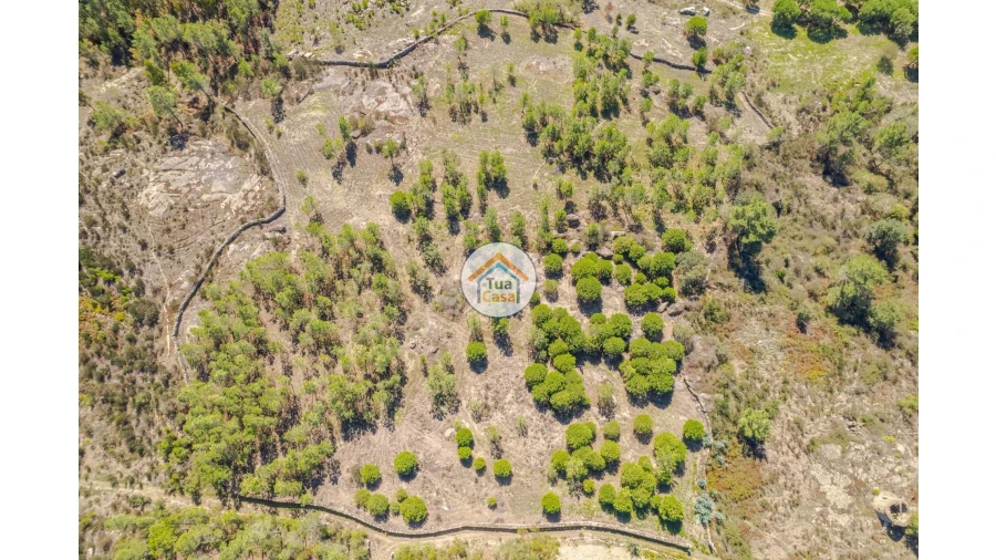 Terreno para Venda em Tavares (Chãs, Várzea e Travanca) Foto 1