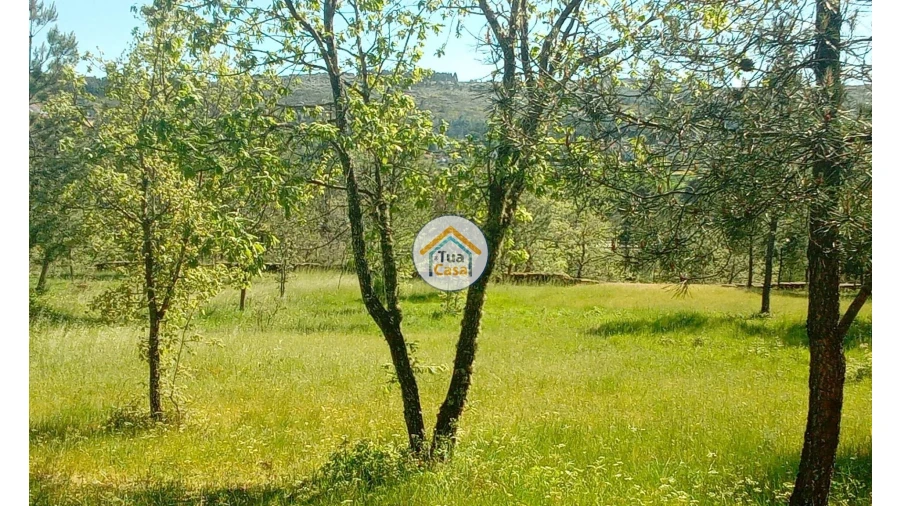 Terreno para Venda em Tavares (Chãs, Várzea e Travanca) Foto 24