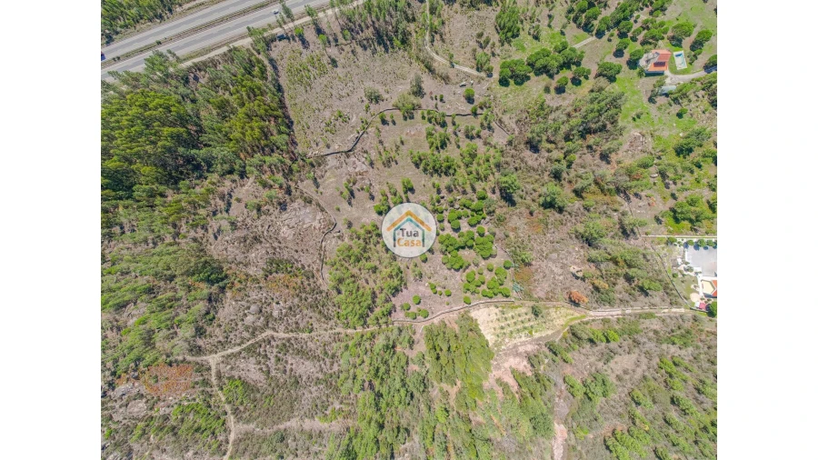 Terreno para Venda em Tavares (Chãs, Várzea e Travanca) Foto 10