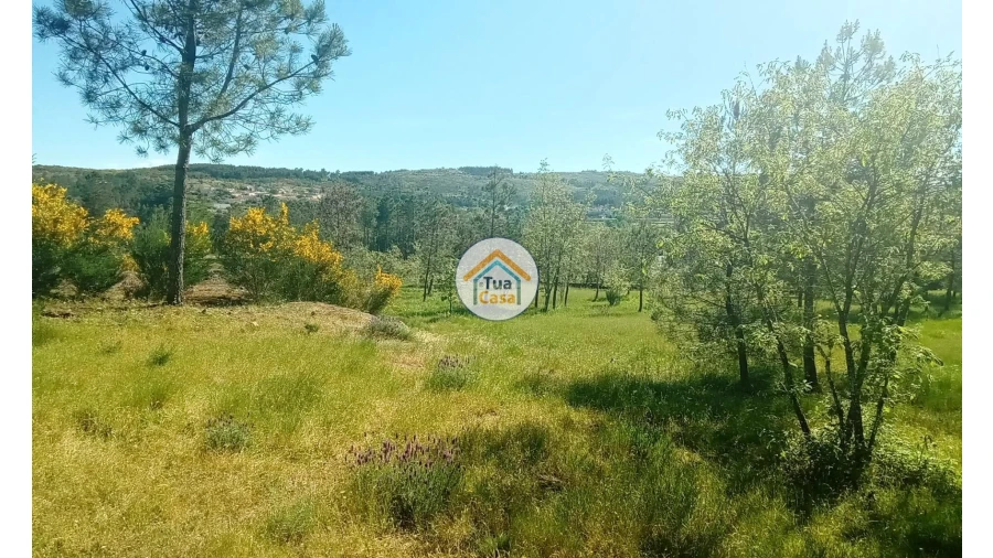 Terreno para Venda em Tavares (Chãs, Várzea e Travanca) Foto 25