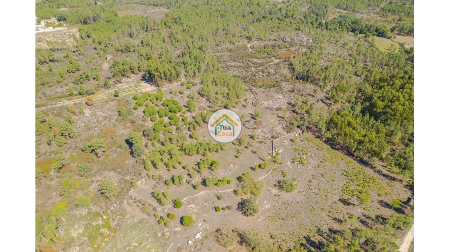 Terreno para Venda em Tavares (Chãs, Várzea e Travanca) Foto 6