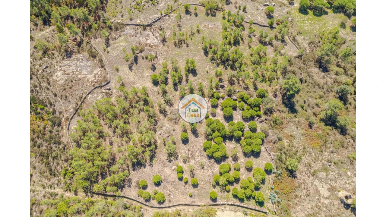 Terreno para Venda em Tavares (Chãs, Várzea e Travanca) Foto 1