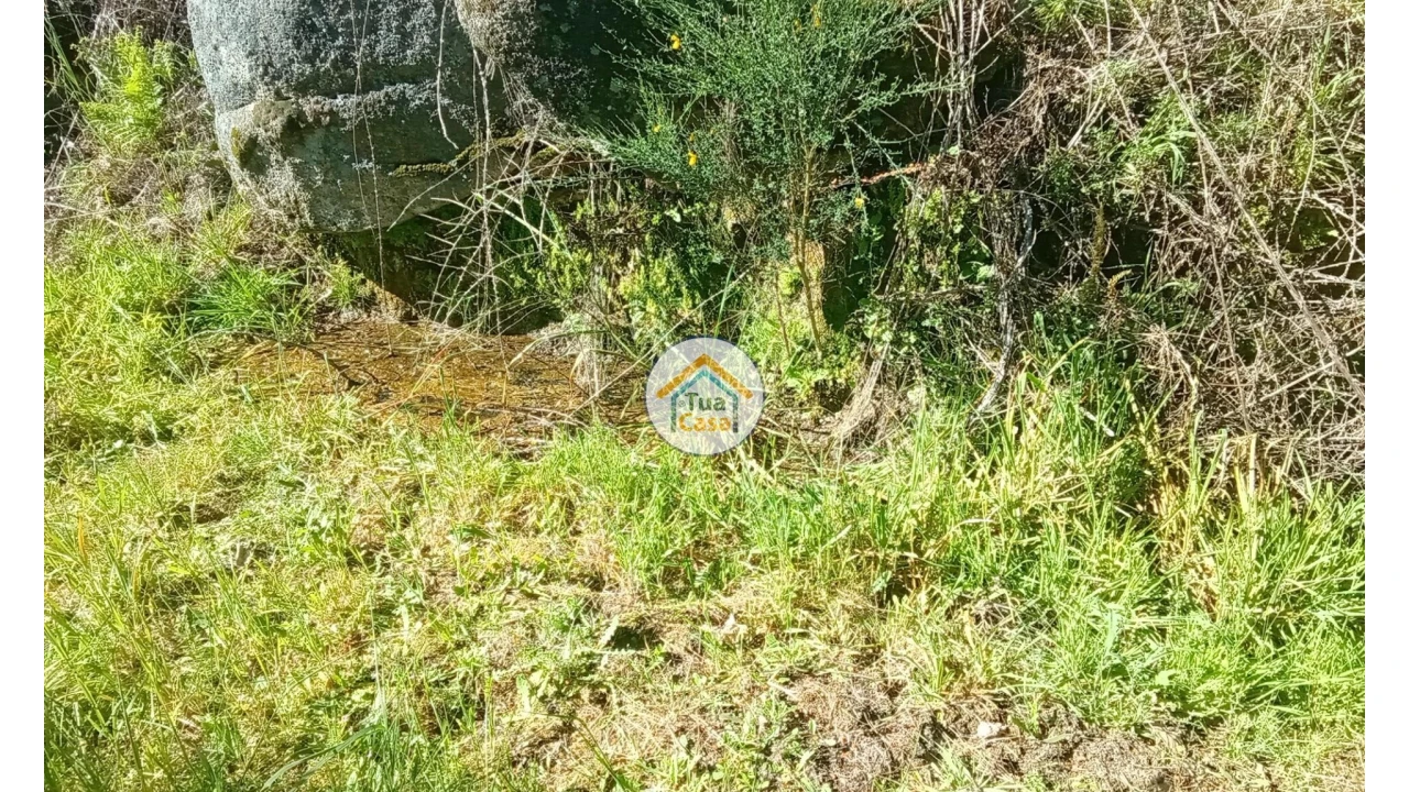Terreno para Venda em Tavares (Chãs, Várzea e Travanca) Foto 23