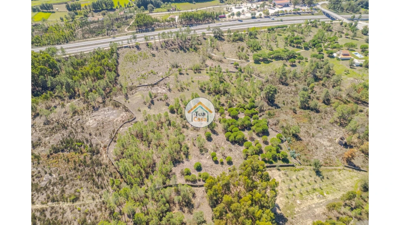 Terreno para Venda em Tavares (Chãs, Várzea e Travanca) Foto 7