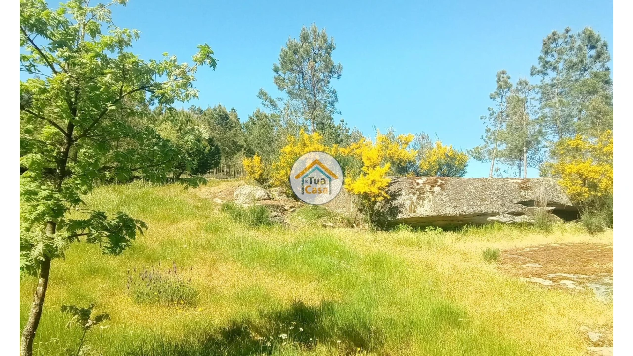 Terreno para Venda em Tavares (Chãs, Várzea e Travanca) Foto 19