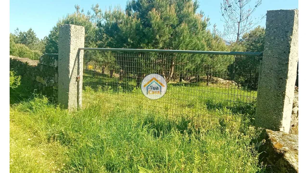Terreno para Venda em Tavares (Chãs, Várzea e Travanca) Foto 37