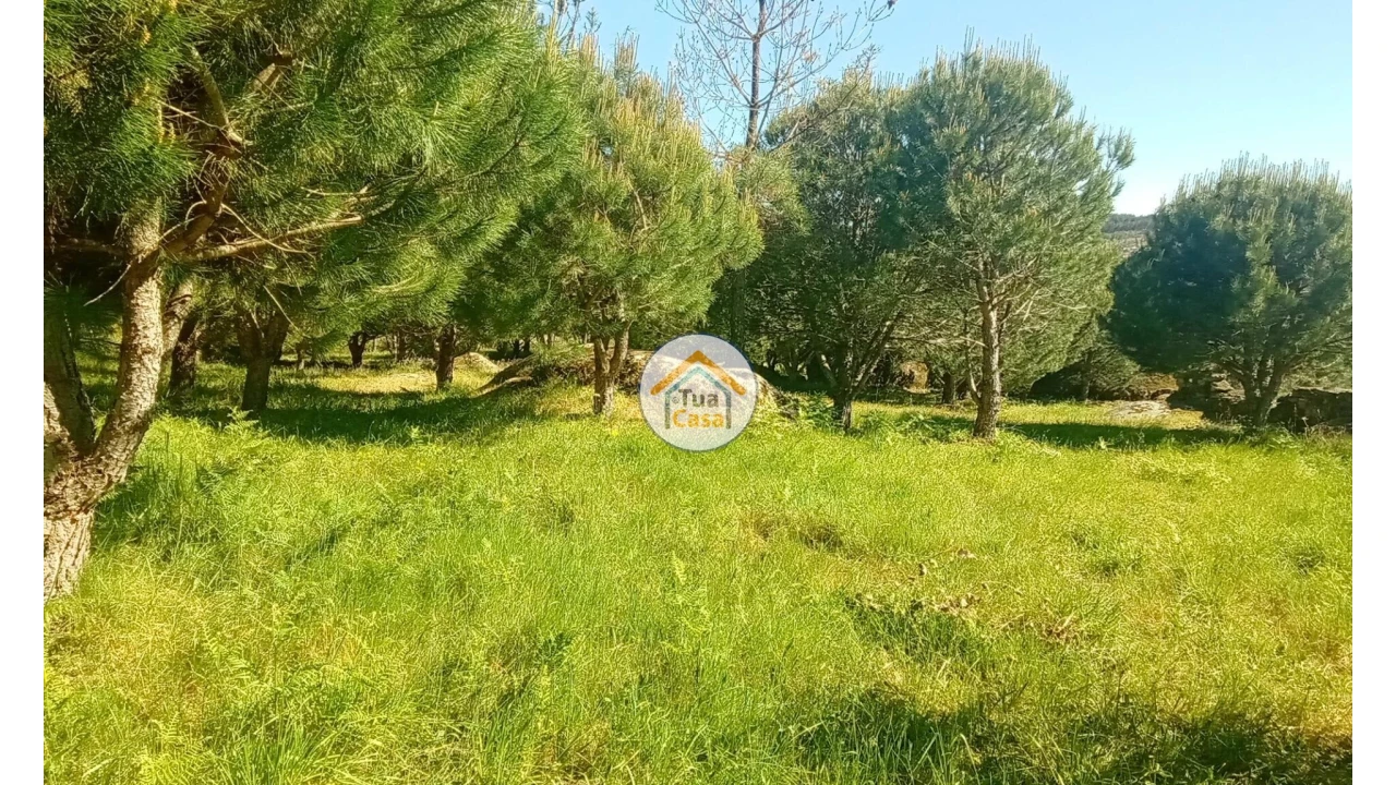 Terreno para Venda em Tavares (Chãs, Várzea e Travanca) Foto 34