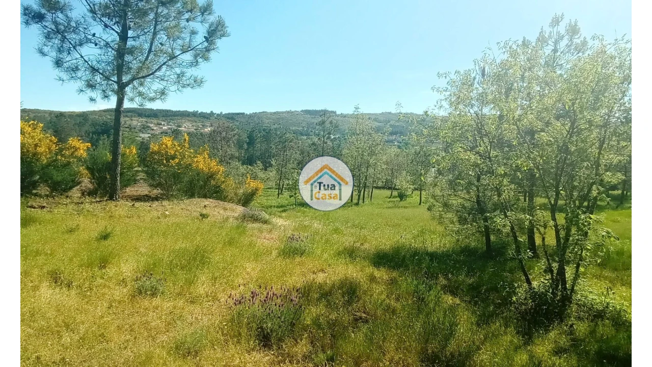 Terreno para Venda em Tavares (Chãs, Várzea e Travanca) Foto 25