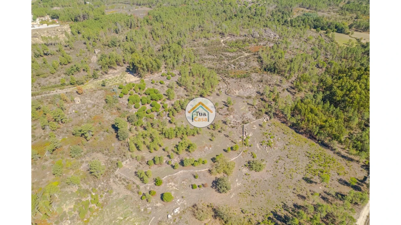 Terreno para Venda em Tavares (Chãs, Várzea e Travanca) Foto 6