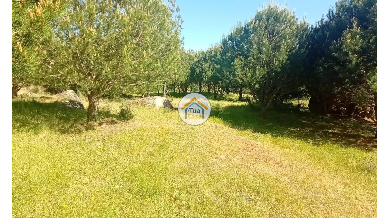 Terreno para Venda em Tavares (Chãs, Várzea e Travanca) Foto 32