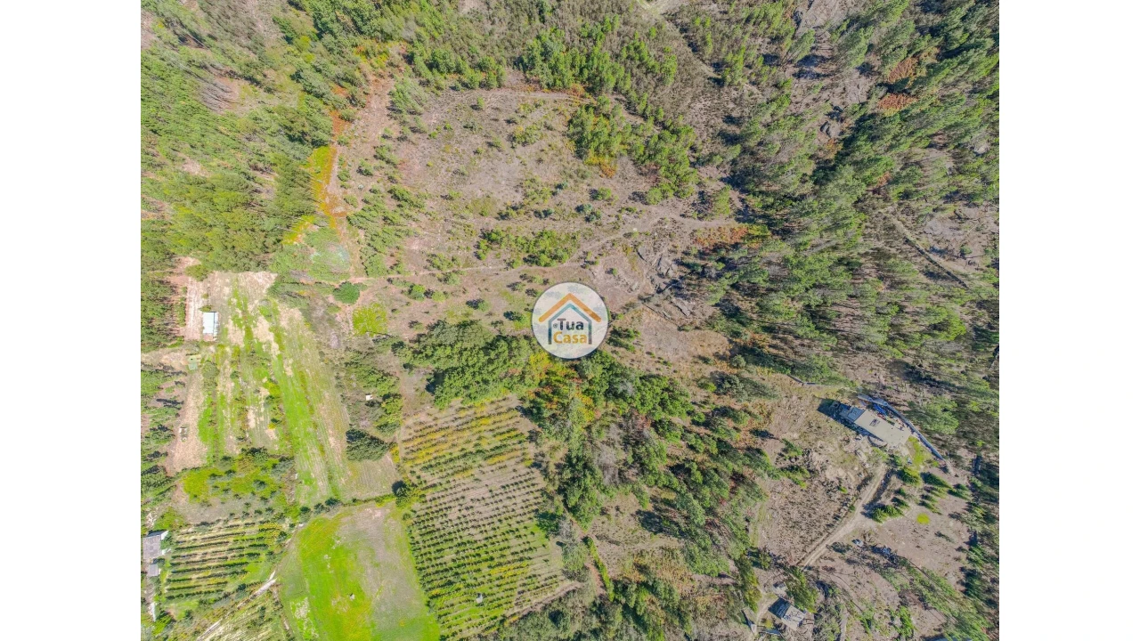 Terreno para Venda em Tavares (Chãs, Várzea e Travanca) Foto 2