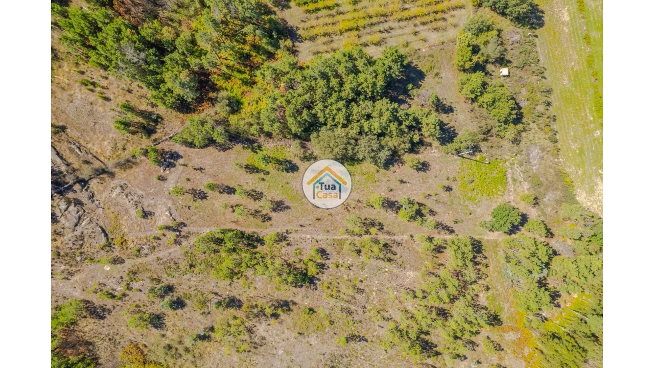 Terreno para Venda em Tavares (Chãs, Várzea e Travanca) Foto 4