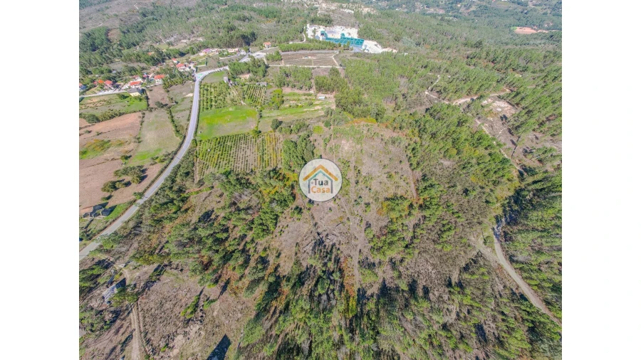 Terreno para Venda em Tavares (Chãs, Várzea e Travanca)