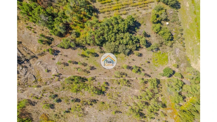 Terreno para Venda em Tavares (Chãs, Várzea e Travanca) Foto 3