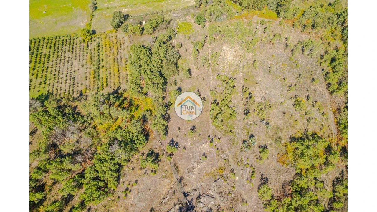 Terreno para Venda em Tavares (Chãs, Várzea e Travanca) Foto 6