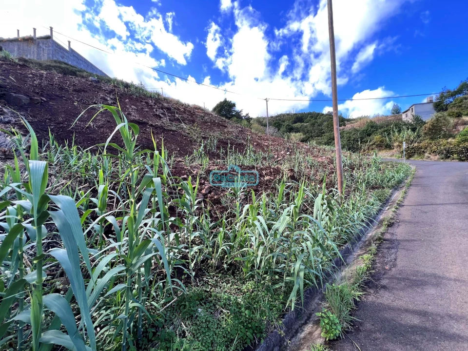 Terreno para Venda em Gaula Foto 4