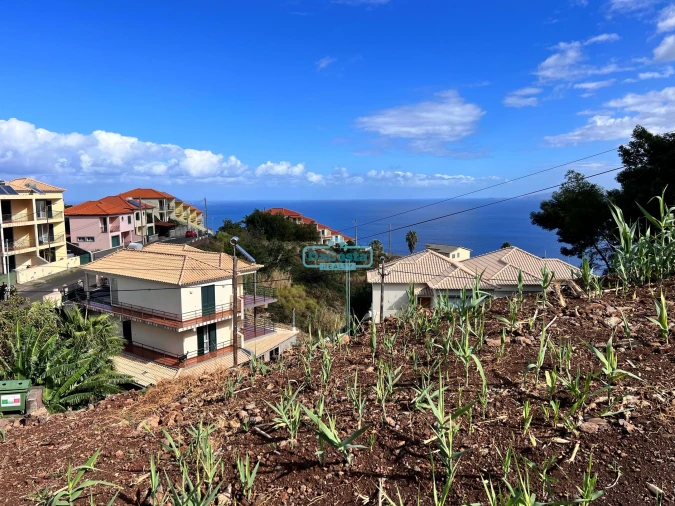 Terreno para Venda em Gaula Foto 8