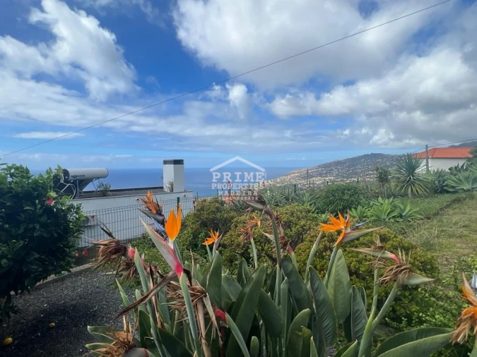 Moradia para Venda em Arco da Calheta Foto 2
