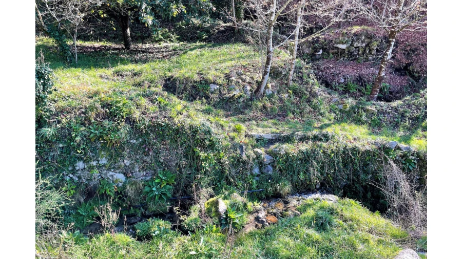 Terreno para Venda em São Jorge e Ermelo Foto 13