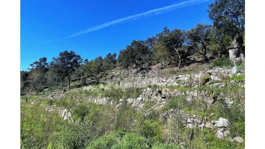 Terreno para Venda em São Jorge e Ermelo Foto 4