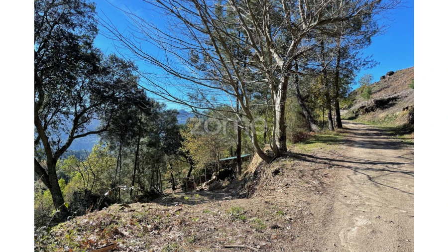 Terreno para Venda em São Jorge e Ermelo Foto 7