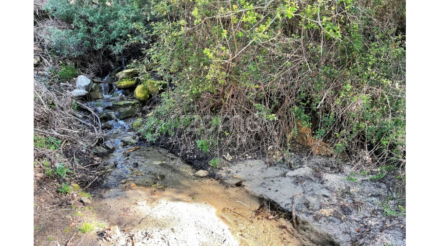 Terreno para Venda em São Jorge e Ermelo Foto 12