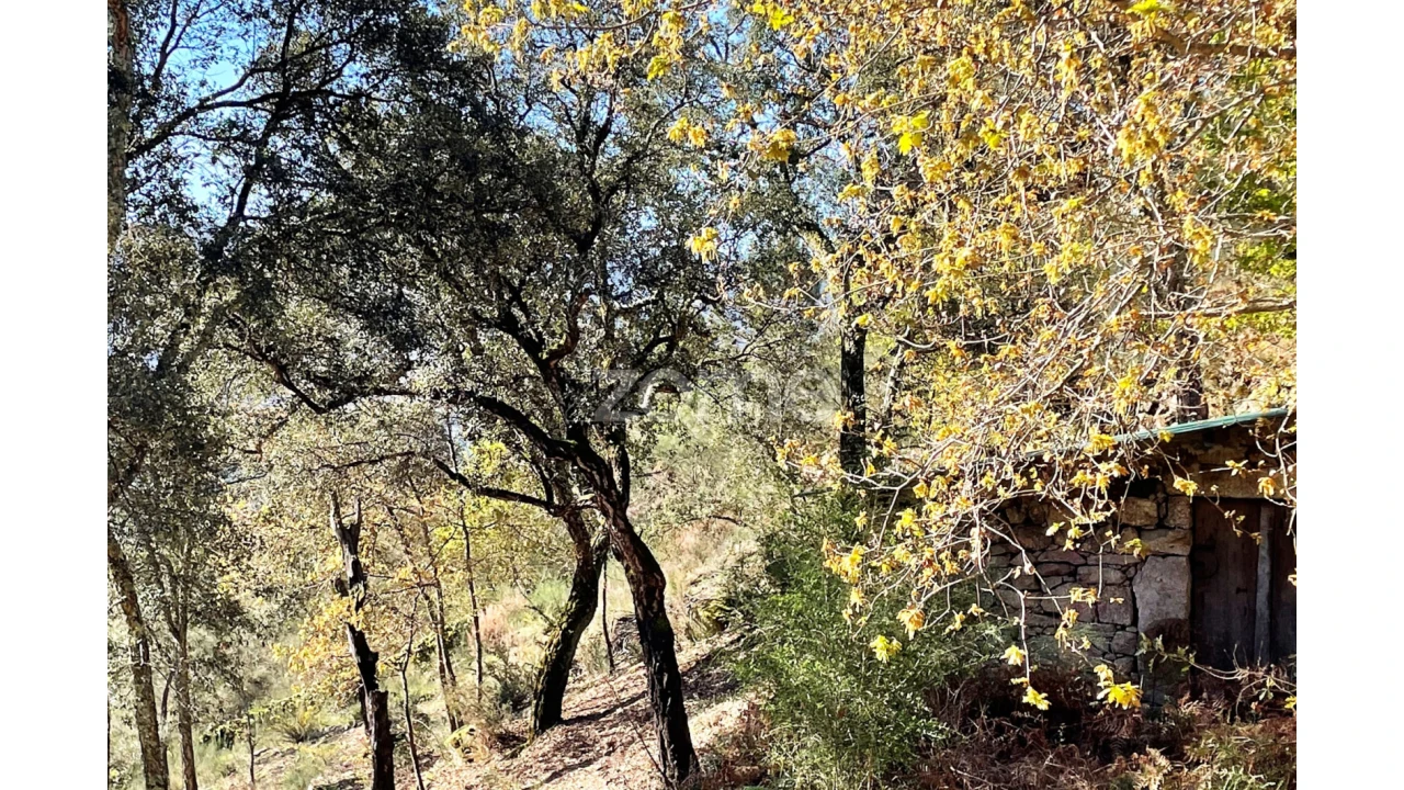 Terreno para Venda em São Jorge e Ermelo Foto 3
