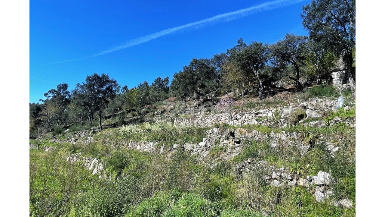Terreno para Venda em São Jorge e Ermelo Foto 4