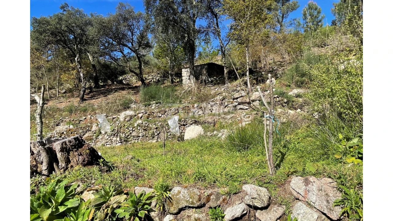 Terreno para Venda em São Jorge e Ermelo Foto 9