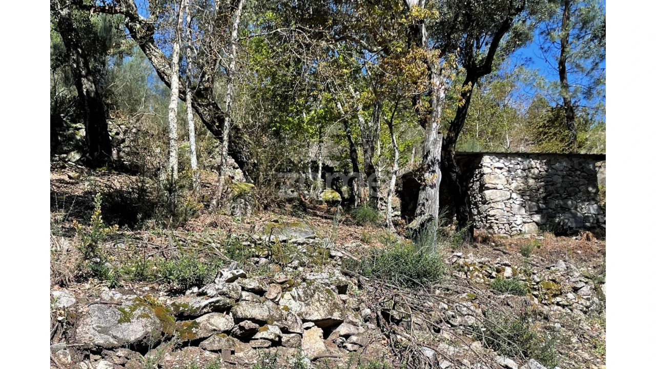 Terreno para Venda em São Jorge e Ermelo Foto 1