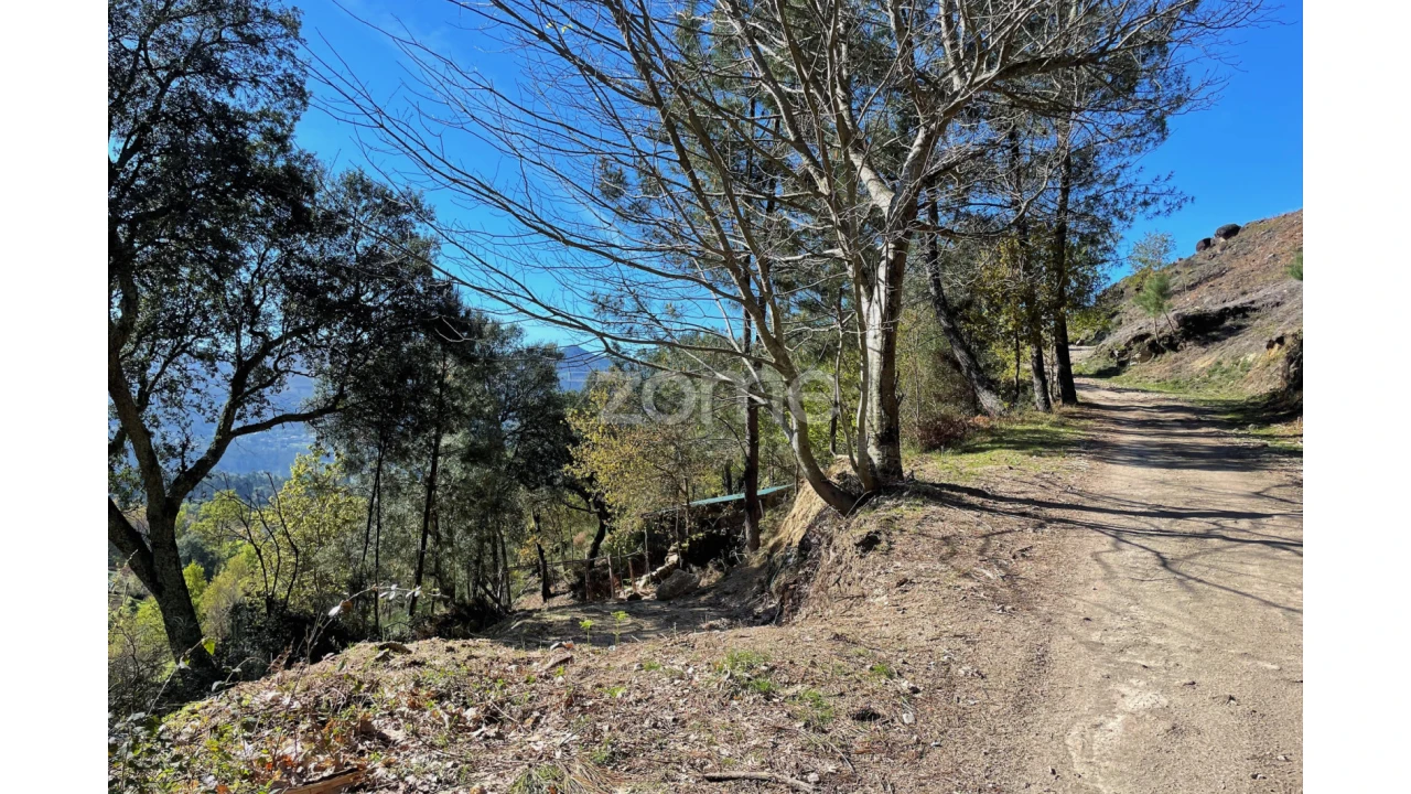 Terreno para Venda em São Jorge e Ermelo Foto 7