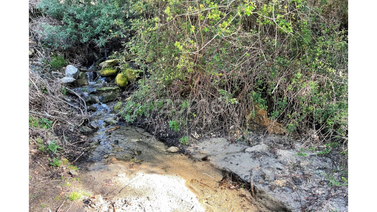 Terreno para Venda em São Jorge e Ermelo Foto 12