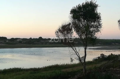 Terreno para Venda em Melides