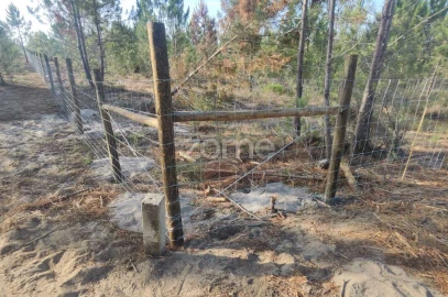 Terreno para Venda em Melides