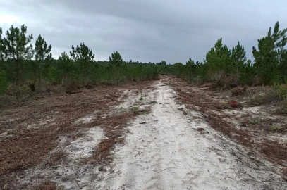 Terreno para Venda em Melides