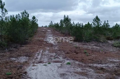 Terreno para Venda em Melides