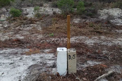 Terreno para Venda em Melides