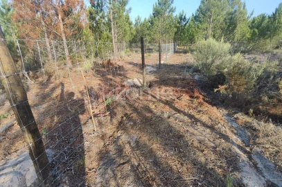 Terreno para Venda em Melides