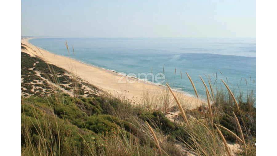 Terreno para Venda em Melides Foto 7