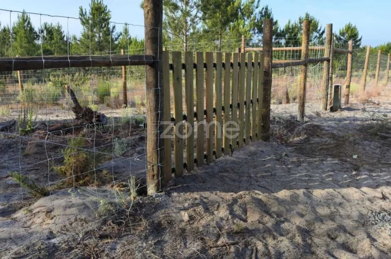 Terreno para Venda em Melides Foto 6