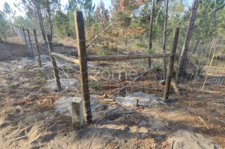 Terreno para Venda em Melides Foto 7