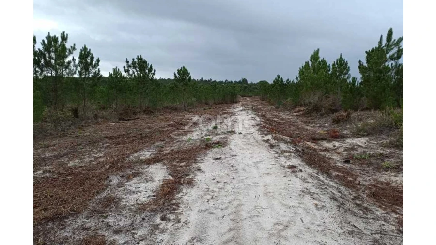 Terreno para Venda em Melides Foto 2